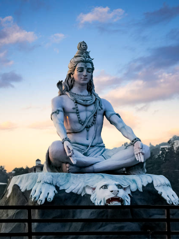 Grand lobby experience at Orchid Hotels Spacious lobby and hospitality area at Orchid Hotels