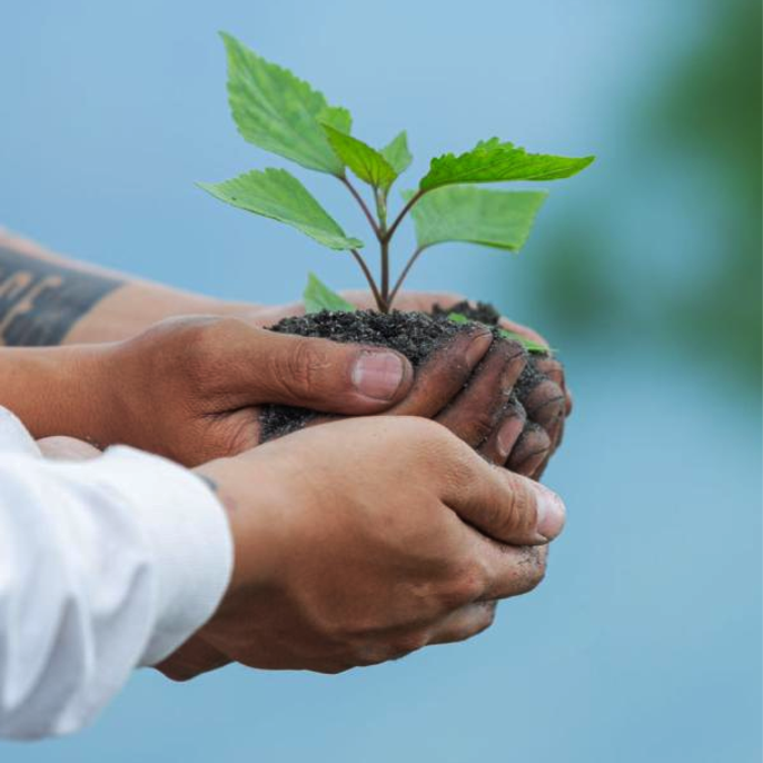 Orchid Ecotel’s long-term environmental commitment for responsible hospitality