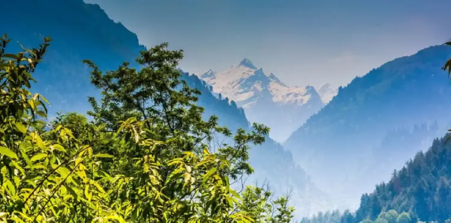 Orchid Shimla – Luxury Hotel in Shimla with Valley View Luxury hotel in Shimla with panoramic mountain and valley view – Orchid Shimla exterior surrounded by pine-covered hills