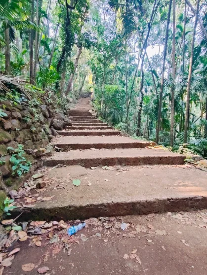 ancient temple surrounded by trees