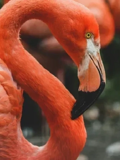 Premium Wedding & Celebration Venue in Jamnagar Grand Banquet Hall in Jamnagar for Weddings & Events – Orchid Jamnagar