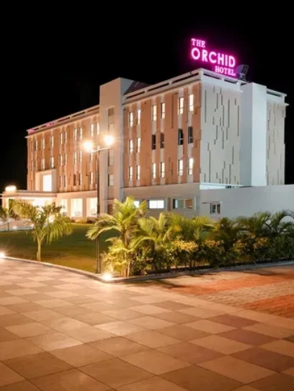 An overview of a garden with small flowers in the foreground and trees in the background