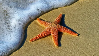 Marine National Park