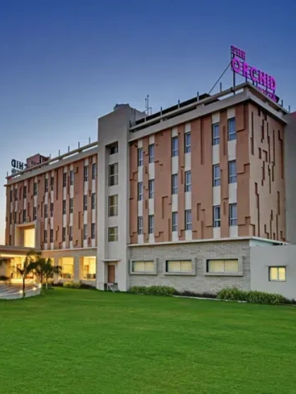 Image of a monkey sitting outside the hanuman temple