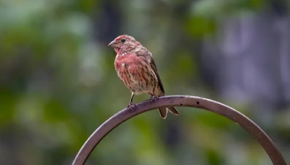 Marine National Park