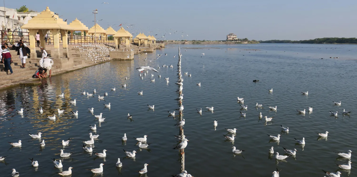 Luxury Stay at Orchid Hotel Near Mumbai Airport Luxury Hotel Room in Vile Parle East – Orchid Hotel Mumbai Near Airport