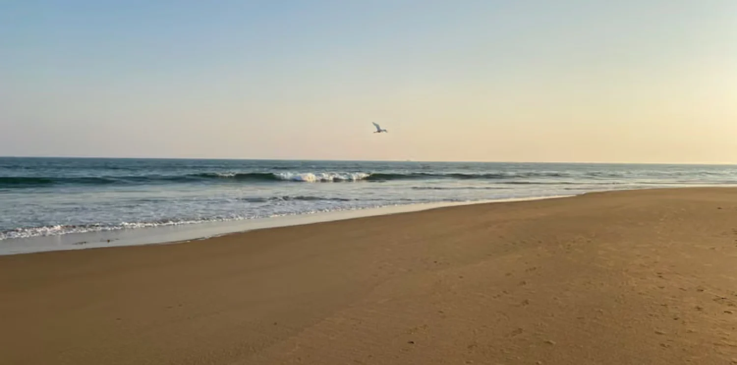 Luxury Hotel Room in Vile Parle East – Orchid Hotel Mumbai Near Airport