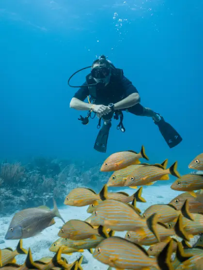 Raghurajpur Village – Traditional Pattachitra artists creating Odisha artwork