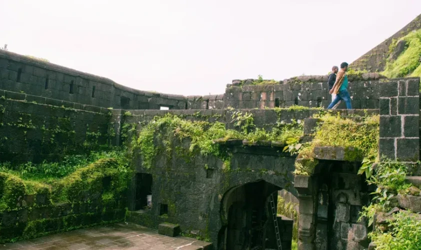 A person bungee jumping