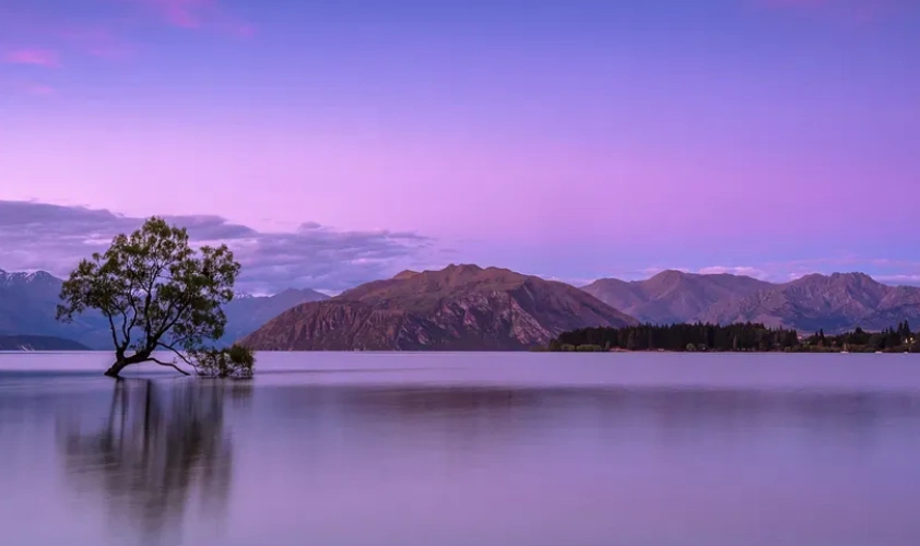 a natural scenery in shades of purple