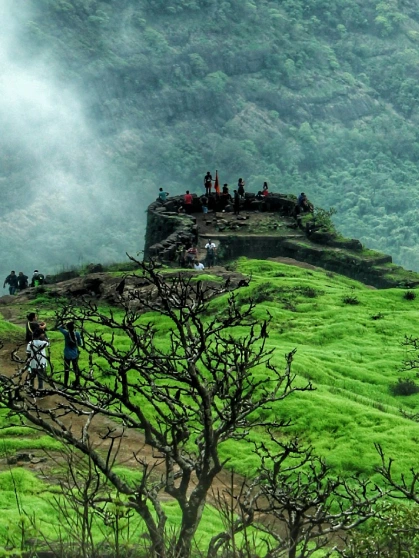 Fireflies festival Lonavala at Night