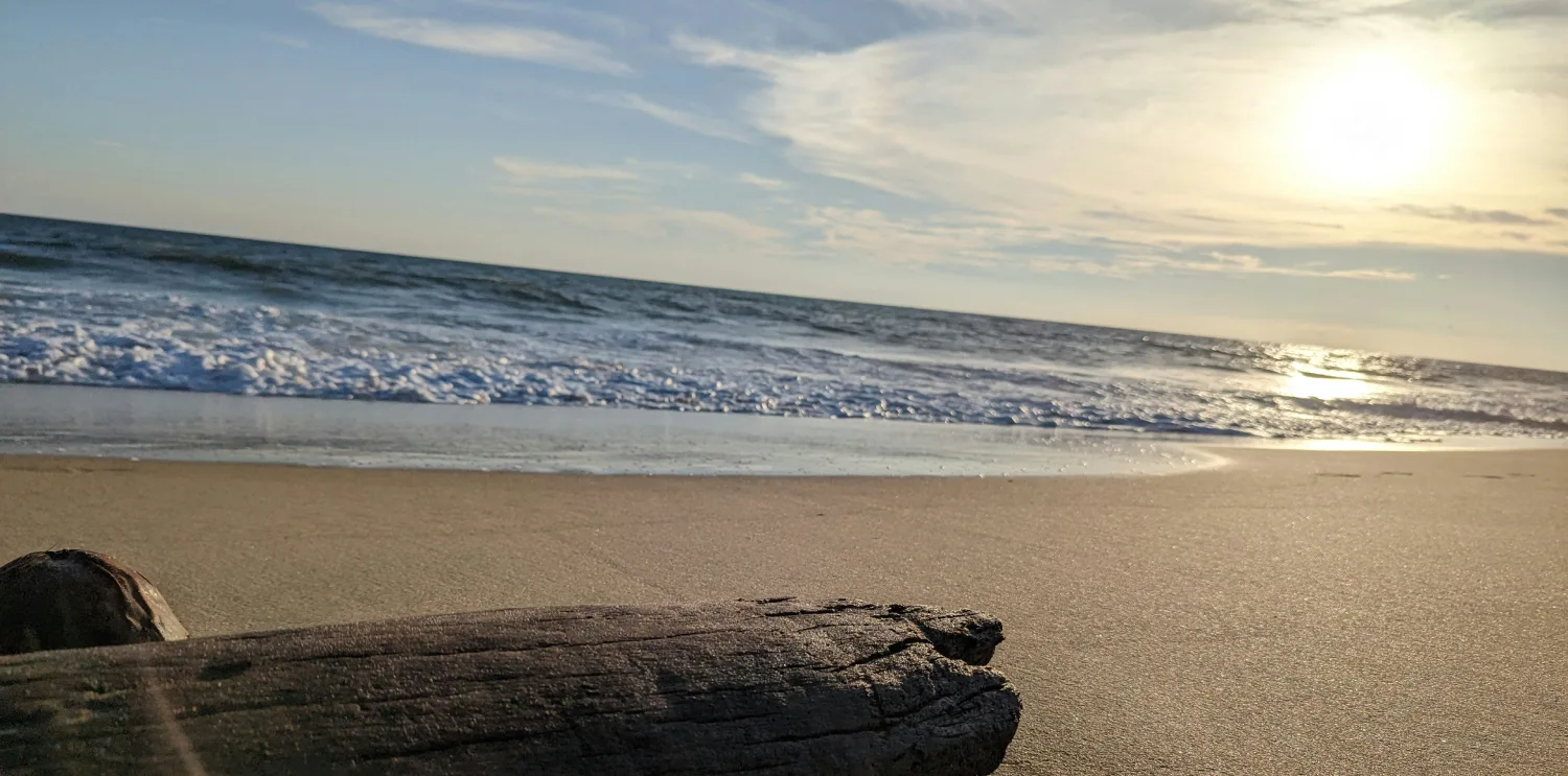 Luxury Stay at Orchid Hotel Near Mumbai Airport Luxury Hotel Room in Vile Parle East – Orchid Hotel Mumbai Near Airport