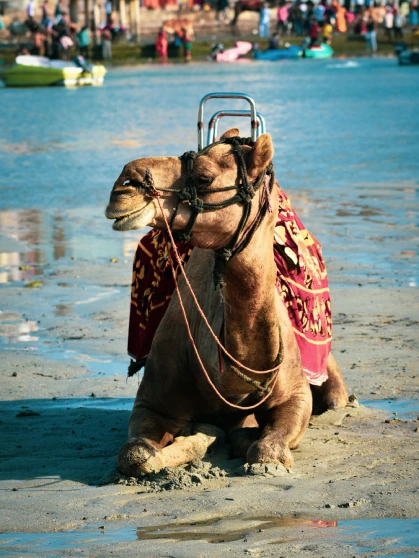 Konark Sun Temple - North Side View