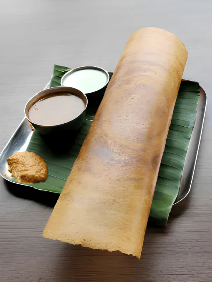 Konark Sun Temple - North Side View