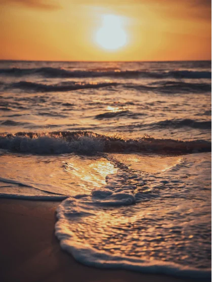 Konark Sun Temple - North Side View