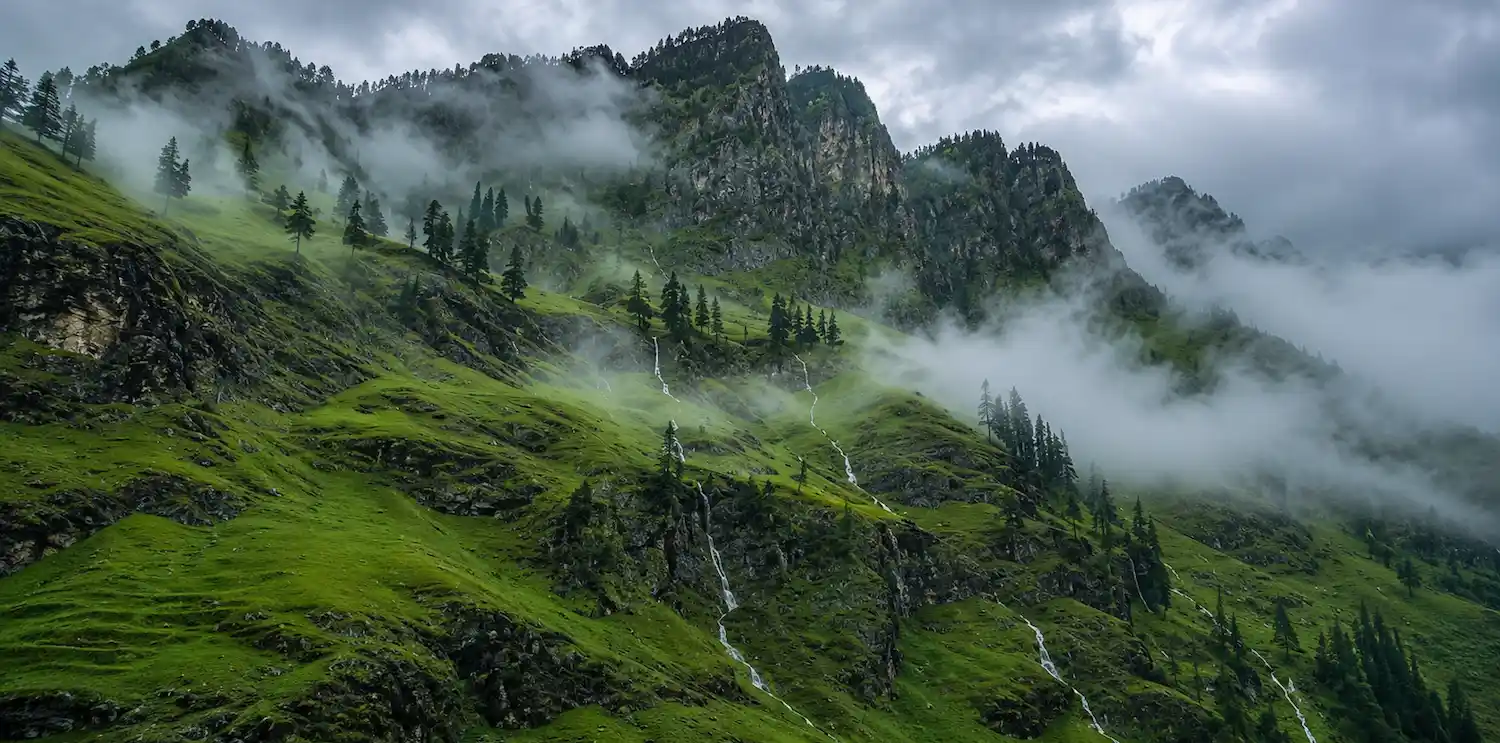 Book a Relaxing Stay in Manali | The Orchid Hotel Manali Relaxing holiday experience in Manali