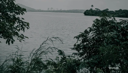 Versova beach looks picturesque during sunset