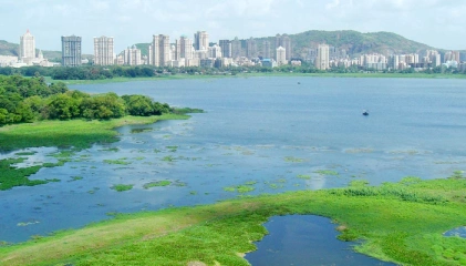 Tranquil Powai Lake near Mumbai Airport – perfect for birdwatching and relaxation