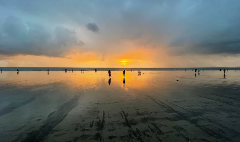 Vegetation growing in a cave