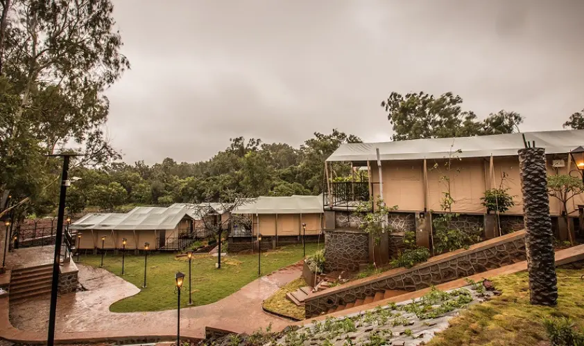 Street Food in Manali – A Culinary Adventure Street food in Manali – momos, snacks, and local delights