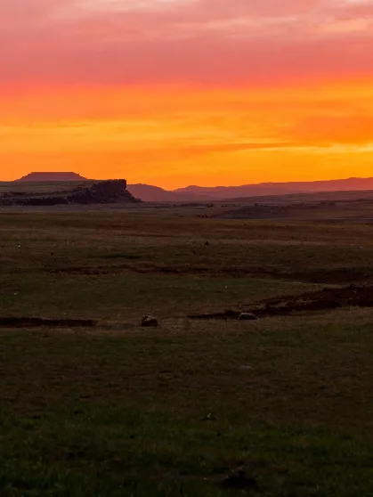 Chana Madra – A Spicy Himachali Delight Chana Madra – Spicy Himachali chickpea curry