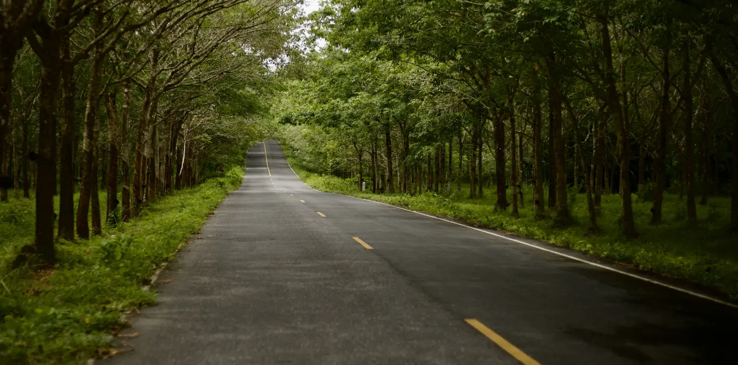 Luxury Stay at Orchid Hotel Near Mumbai Airport Luxury Hotel Room in Vile Parle East – Orchid Hotel Mumbai Near Airport