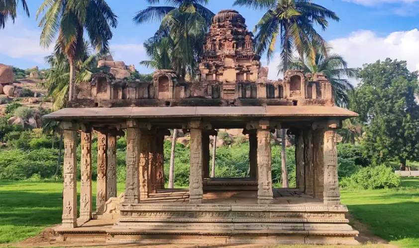 A road between a forest