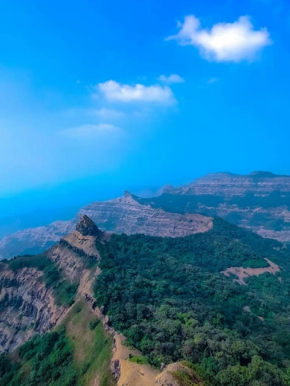 an overview of green scrubs