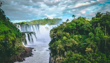 Easy trekking path surrounded by pine forest leading to Chadwick Falls