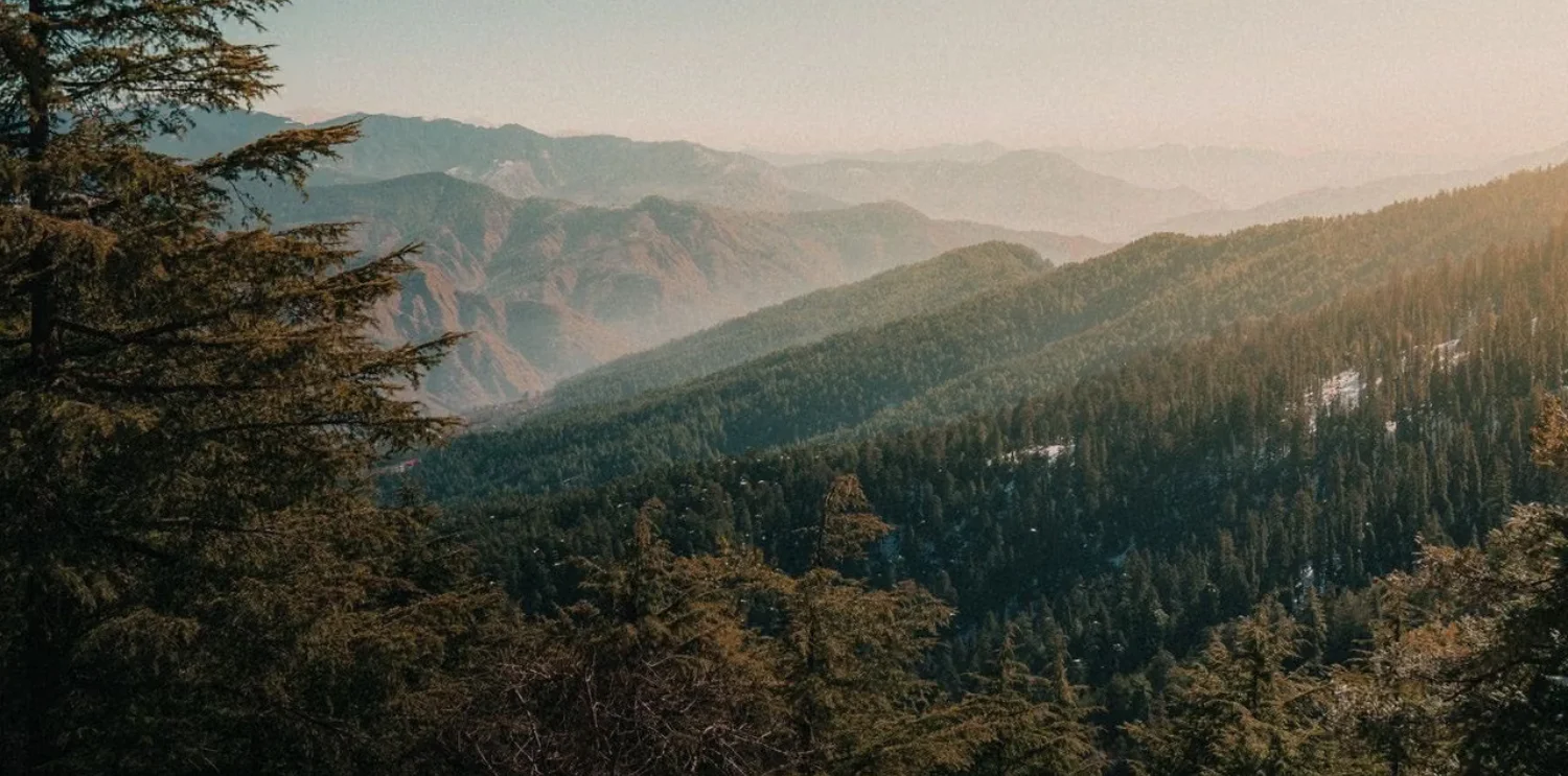 Luxury Stay at Orchid Hotel Near Mumbai Airport Luxury Hotel Room in Vile Parle East – Orchid Hotel Mumbai Near Airport