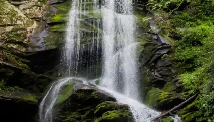 Chadwick Falls surrounded by lush green forest near Shimla