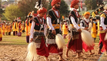 Valley view room at The Orchid Hotel Shimla