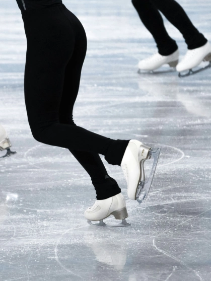 Grand Viceregal Lodge Shimla with manicured gardens