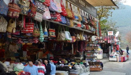 UNESCO Kalka-Shimla Toy Train passing through pine forests