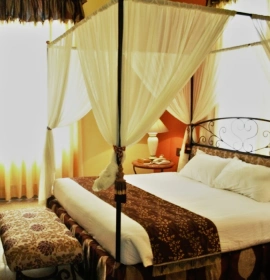 Non-AC Day Use Room at Mahodadhi Palace Non-AC Day Use Room at Mahodadhi Palace - Affordable Comfort