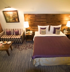 Premier Room with Bathtub in Pune, featuring modern decor and ample space