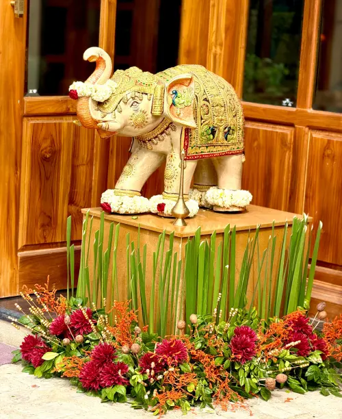 Destination wedding photography at The Orchid Rishivan Rishikesh with scenic hill views and elegant wedding setup