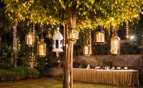 Premium wedding setup at The Orchid Rishivan Rishikesh for destination weddings, receptions, and curated celebrations